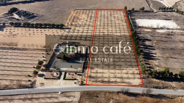 Mark till salu i Villena - 75 000 € (Ref: 8686535)