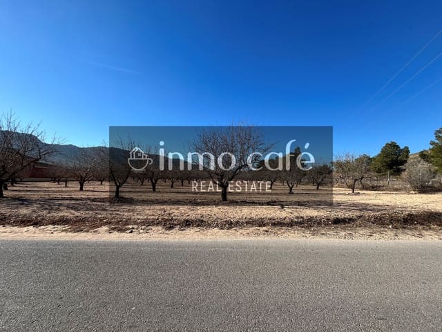 Mark till salu i Villena - 75 000 € (Ref: 8686535)