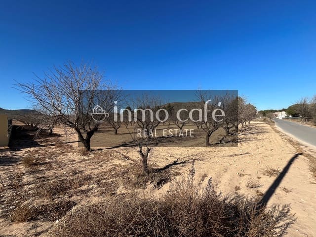 Mark till salu i Villena - 75 000 € (Ref: 8686535)