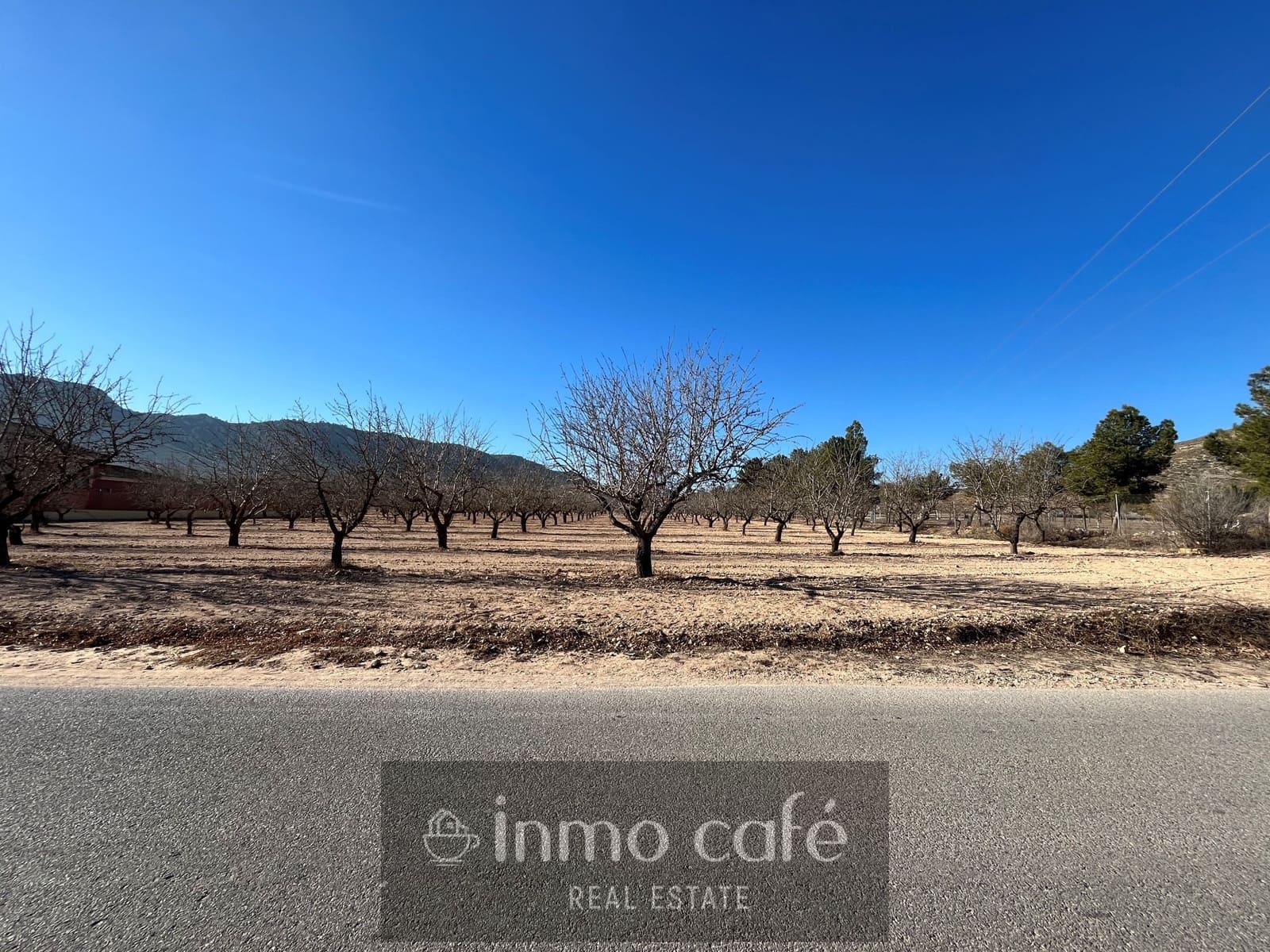 Undeveloped Land for sale in Villena - € 75,000 (Ref: 8686535)
