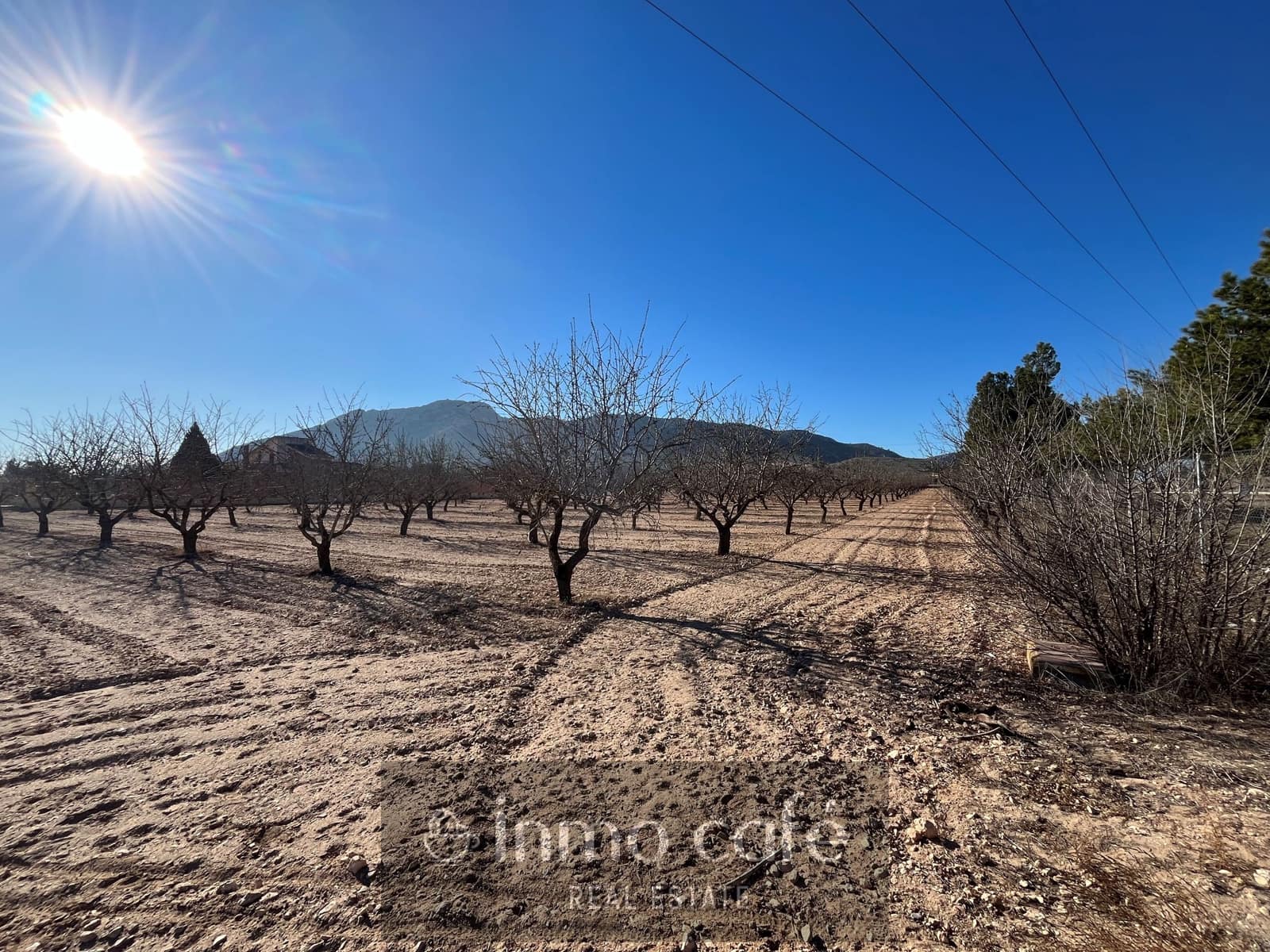 Undeveloped Land for sale in Villena - € 75,000 (Ref: 8686535)