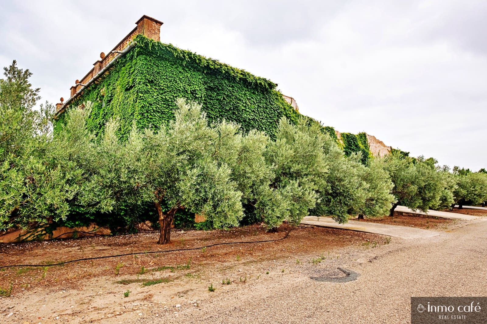 2 sypialnia Finka/Dom wiejski na sprzedaż w Biar - 210 000 € (Ref: 8686541)