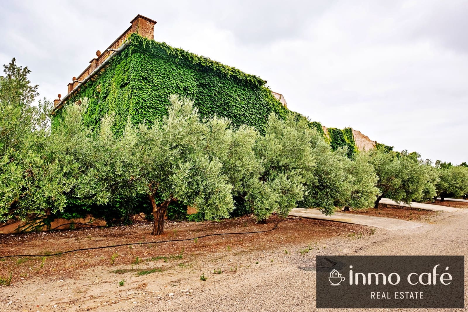 2 slaapkamer Finca/Landhuis te koop in Biar - € 200.000 (Ref: 8686541)