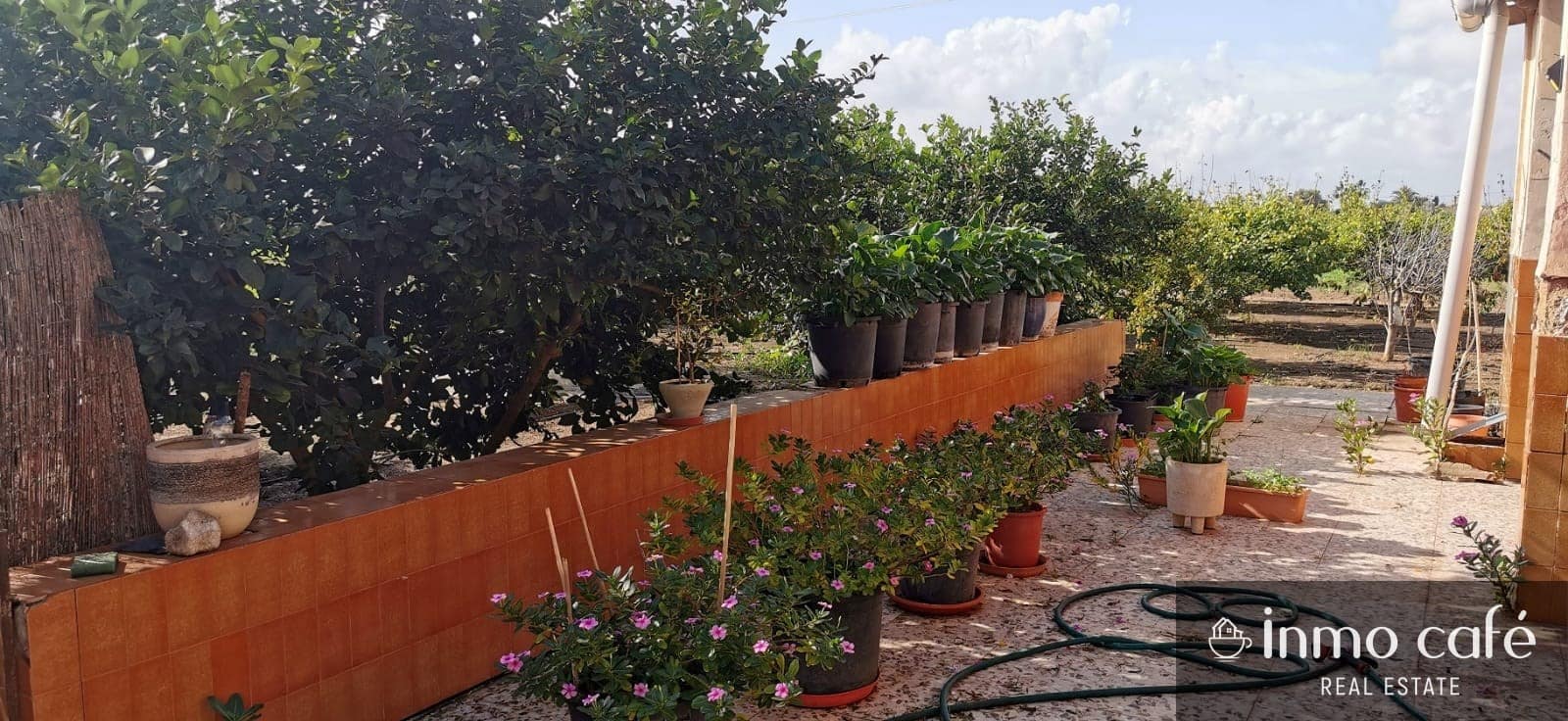 4 chambre Finca/Maison de Campagne à vendre à Elche / Elx - 269 500 € (Ref: 8686542)