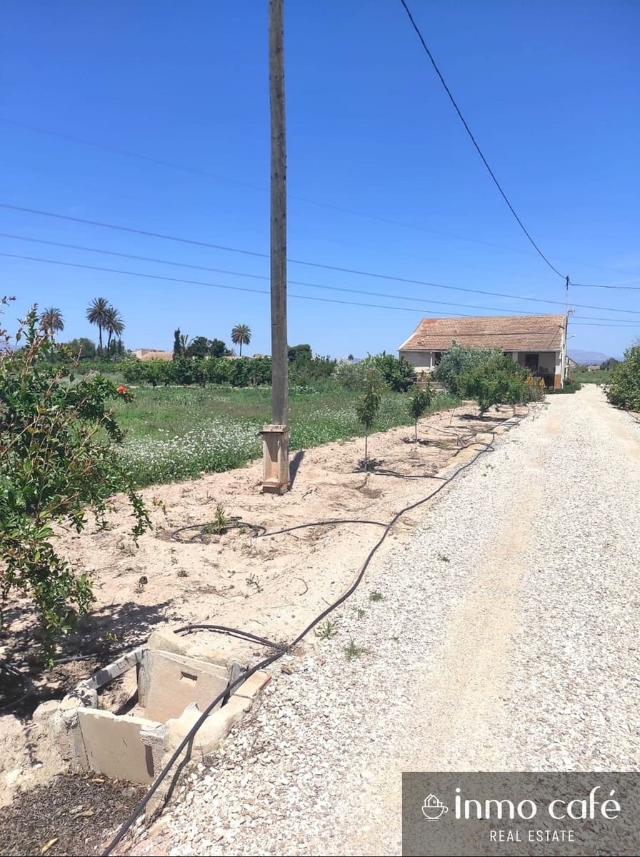 4 chambre Finca/Maison de Campagne à vendre à Elche / Elx - 269 500 € (Ref: 8686542)