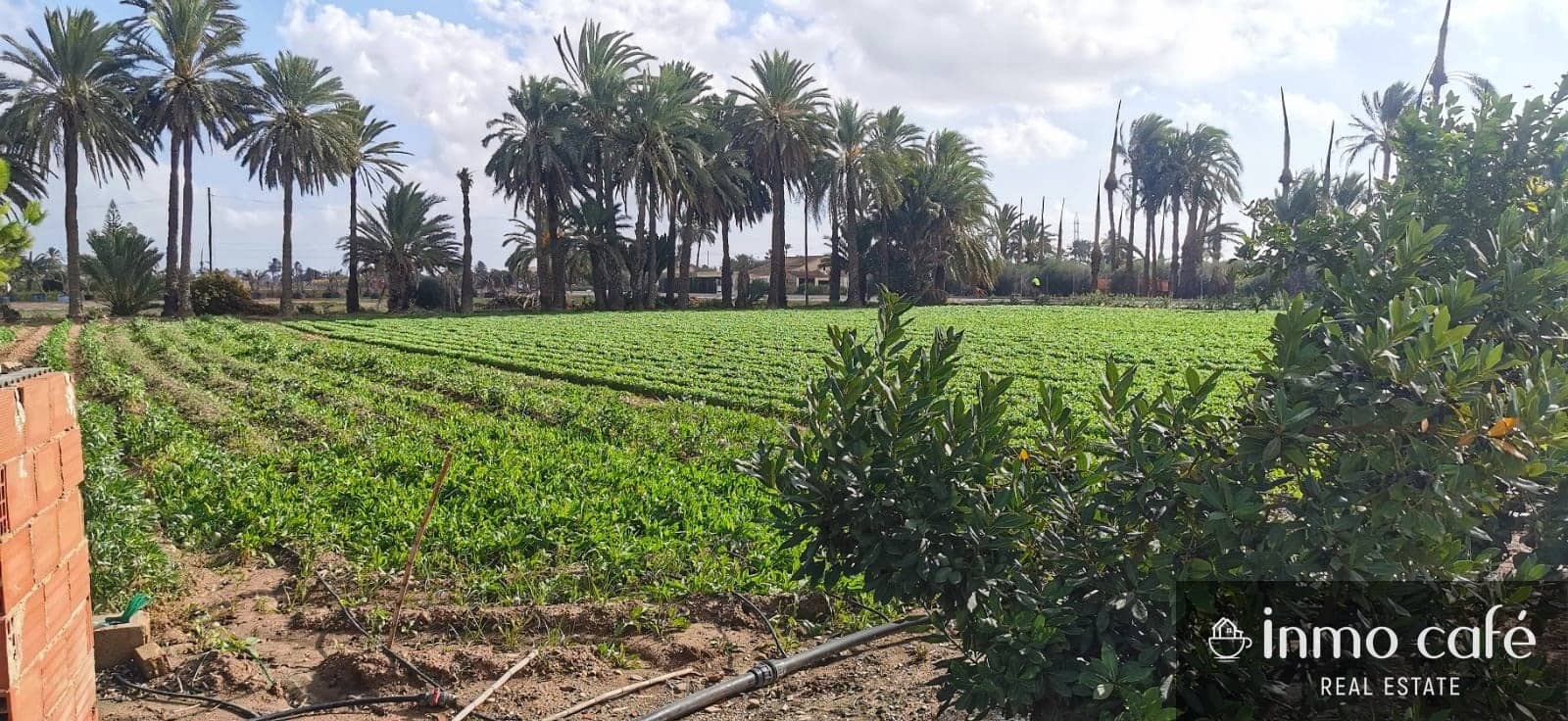 4 chambre Finca/Maison de Campagne à vendre à Elche / Elx - 269 500 € (Ref: 8686542)