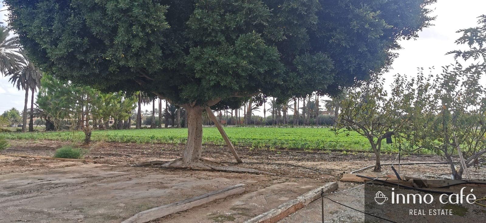 4 chambre Finca/Maison de Campagne à vendre à Elche / Elx - 269 500 € (Ref: 8686542)