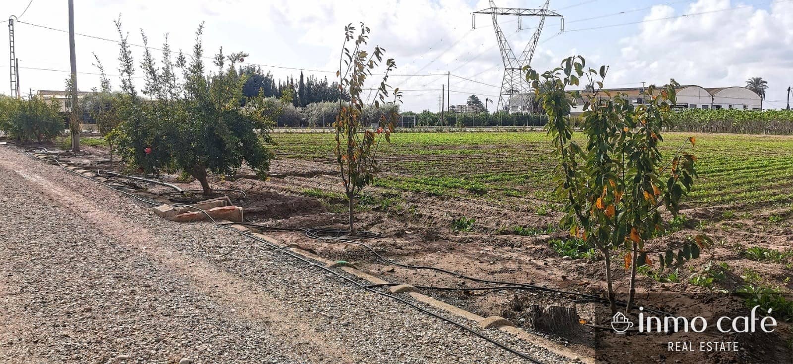 4 chambre Finca/Maison de Campagne à vendre à Elche / Elx - 269 500 € (Ref: 8686542)