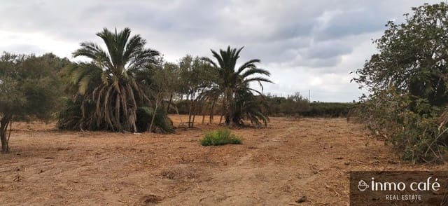 Grunde uden byggetilladelser til salg i Elche / Elx - € 143.000 (Ref: 8686548)