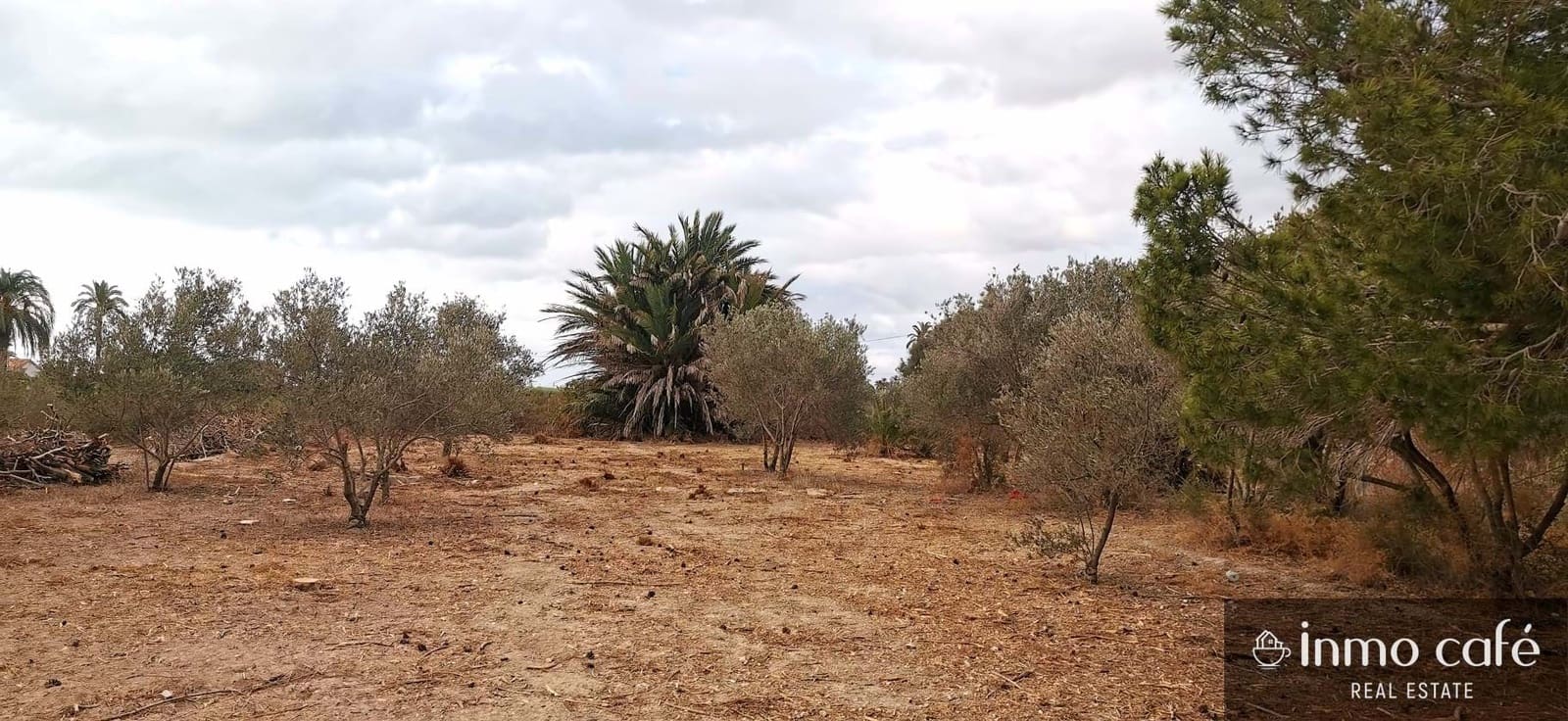 Grunde uden byggetilladelser til salg i Elche / Elx - € 143.000 (Ref: 8686548)