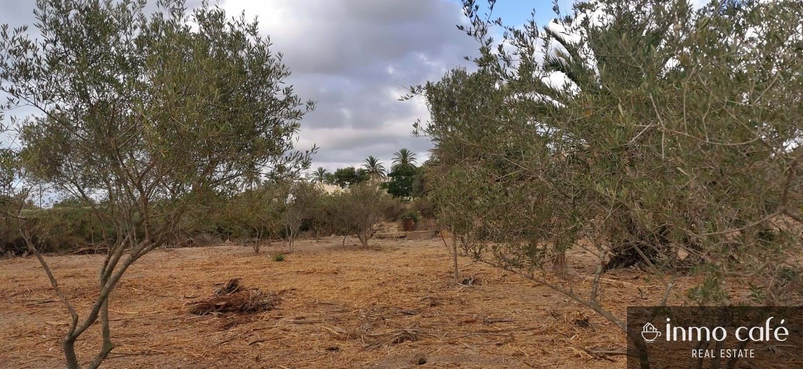 Grunde uden byggetilladelser til salg i Elche / Elx - € 143.000 (Ref: 8686548)