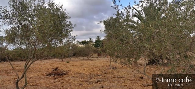 Grunde uden byggetilladelser til salg i Elche / Elx - € 143.000 (Ref: 8686548)