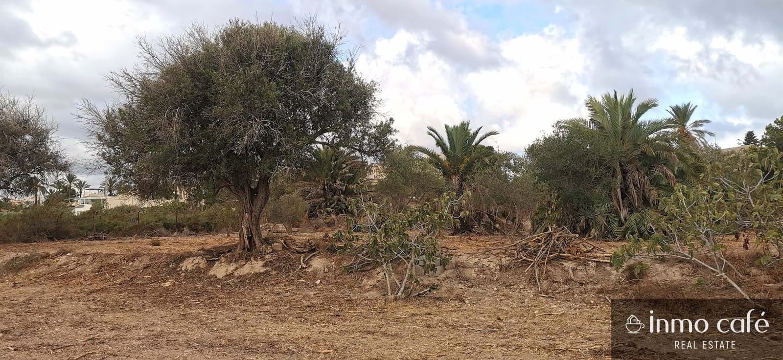 Grunde uden byggetilladelser til salg i Elche / Elx - € 143.000 (Ref: 8686548)