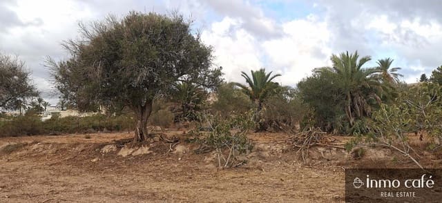 Grunde uden byggetilladelser til salg i Elche / Elx - € 143.000 (Ref: 8686548)