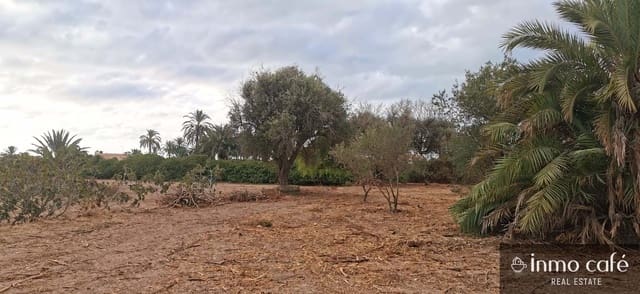 Grunde uden byggetilladelser til salg i Elche / Elx - € 143.000 (Ref: 8686548)