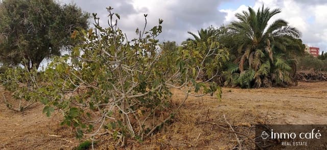 Grunde uden byggetilladelser til salg i Elche / Elx - € 143.000 (Ref: 8686548)