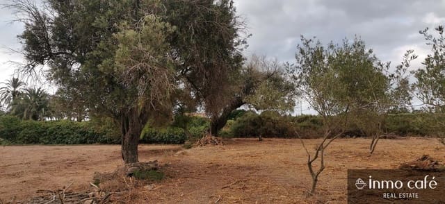 Grunde uden byggetilladelser til salg i Elche / Elx - € 143.000 (Ref: 8686548)