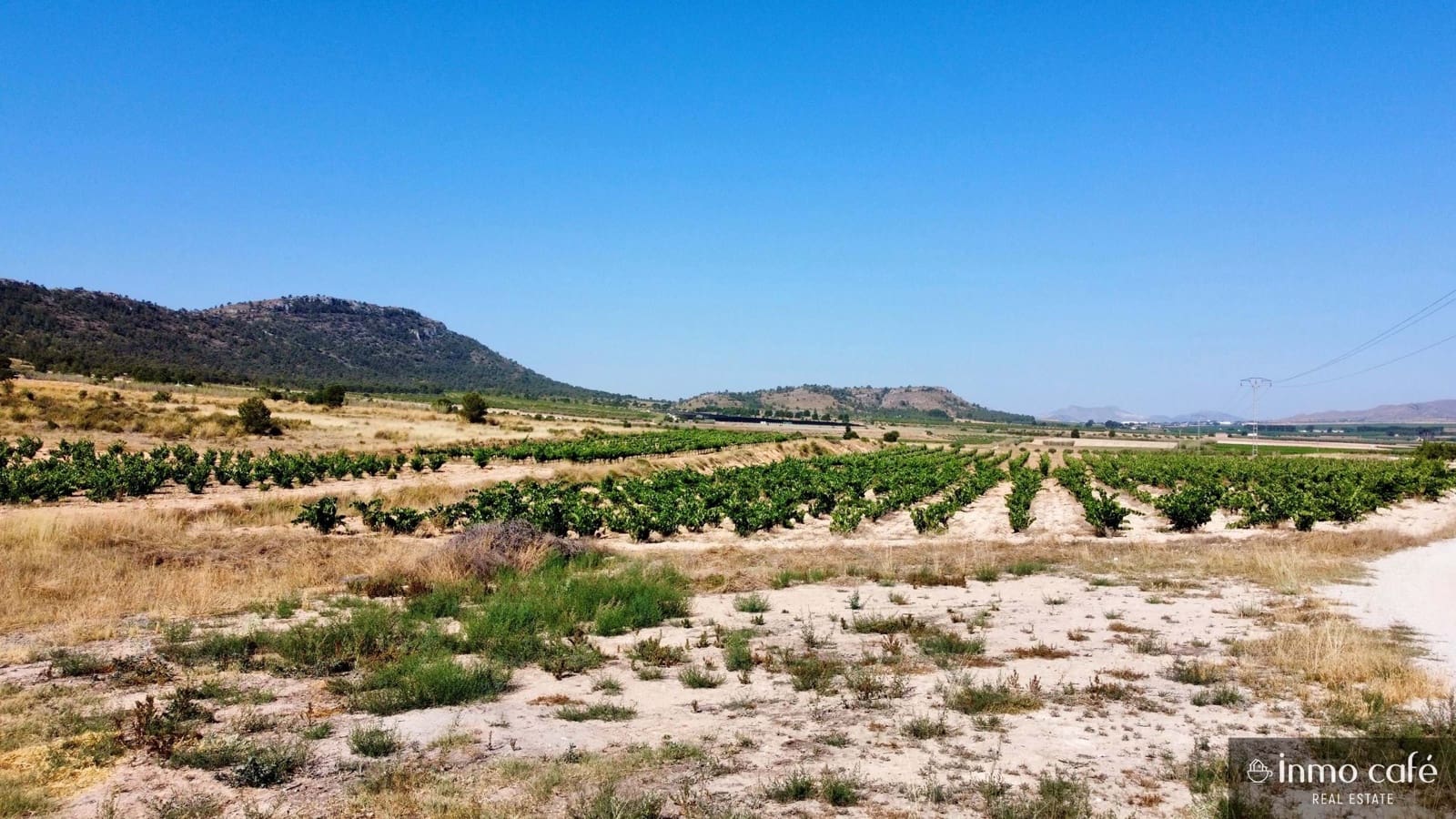 Grunde uden byggetilladelser til salg i Villena - € 39.000 (Ref: 9096293)