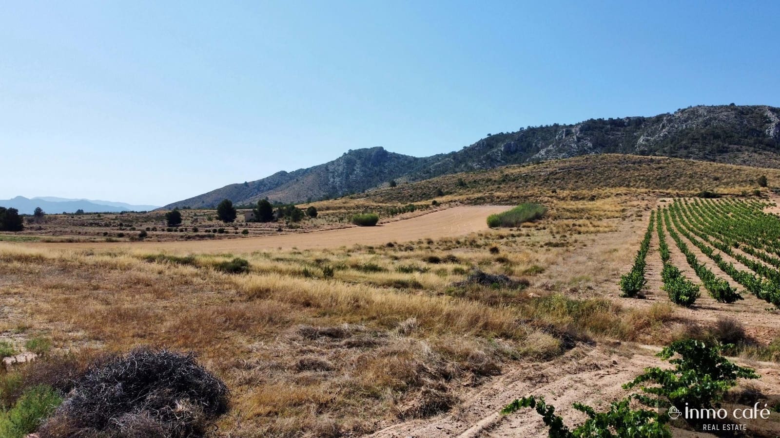 Grunde uden byggetilladelser til salg i Villena - € 39.000 (Ref: 9096293)