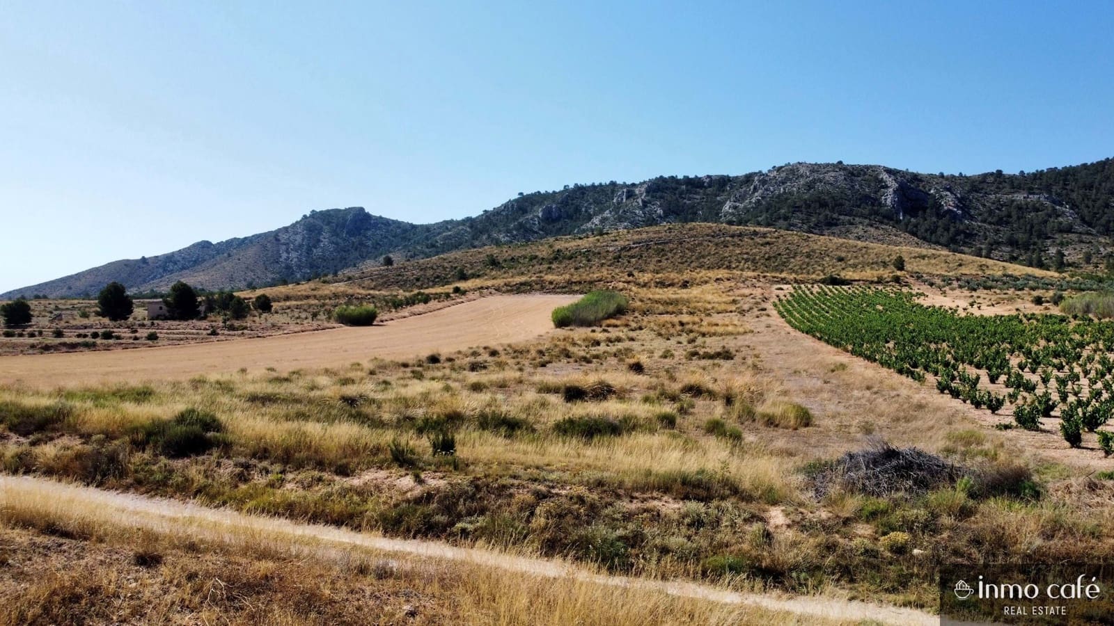 Grunde uden byggetilladelser til salg i Villena - € 39.000 (Ref: 9096293)