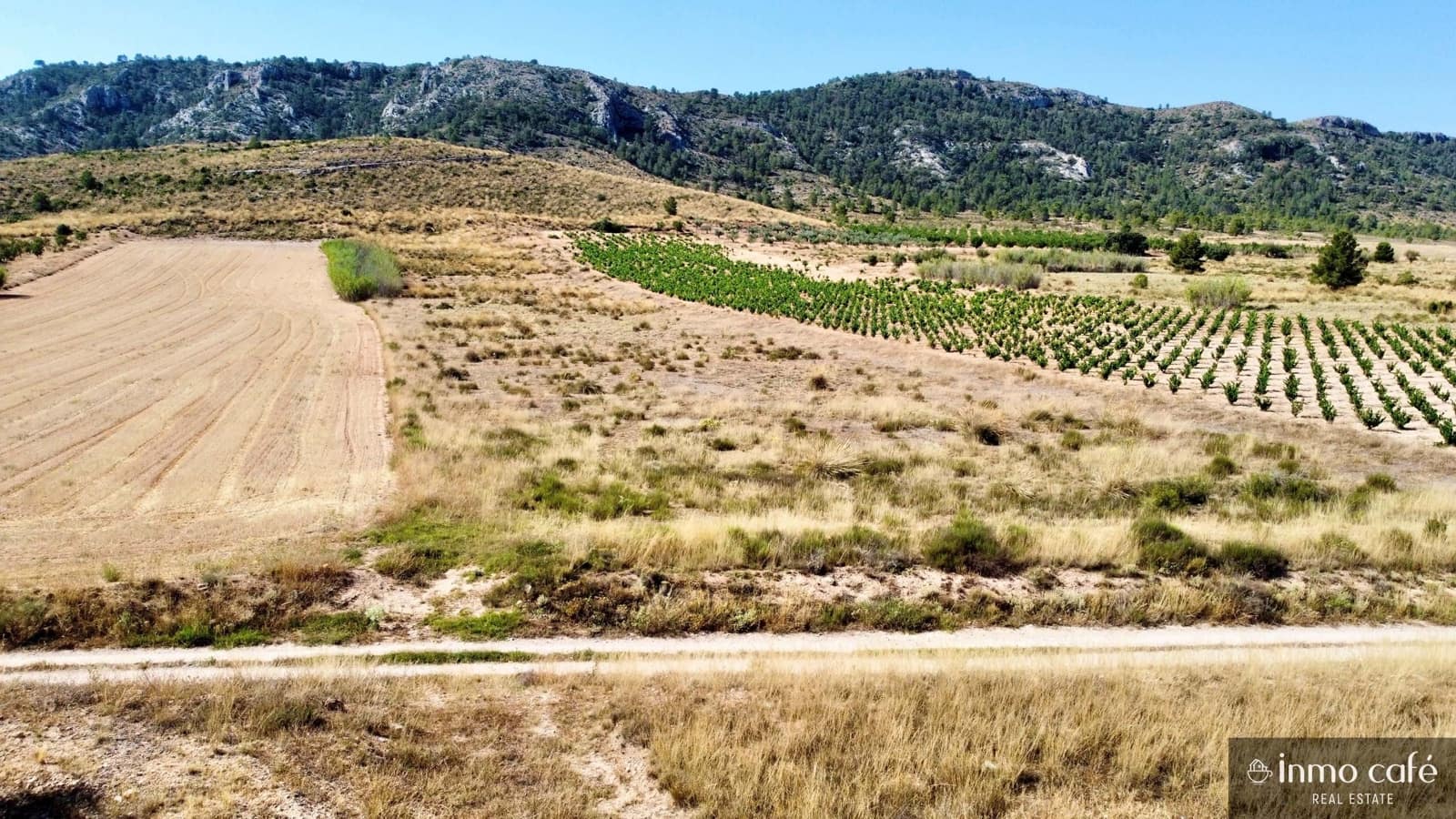 Grunde uden byggetilladelser til salg i Villena - € 39.000 (Ref: 9096293)