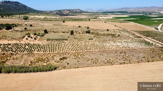 Mark till salu i Villena - 39 000 € (Ref: 9096293)