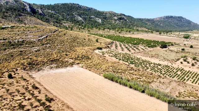 Mark till salu i Villena - 39 000 € (Ref: 9096293)