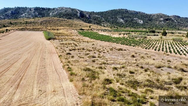 Mark till salu i Villena - 39 000 € (Ref: 9096293)