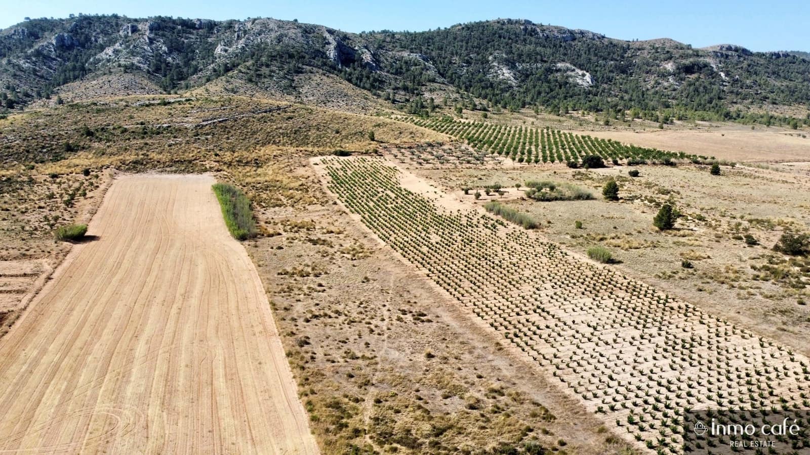 Grunde uden byggetilladelser til salg i Villena - € 39.000 (Ref: 9096293)