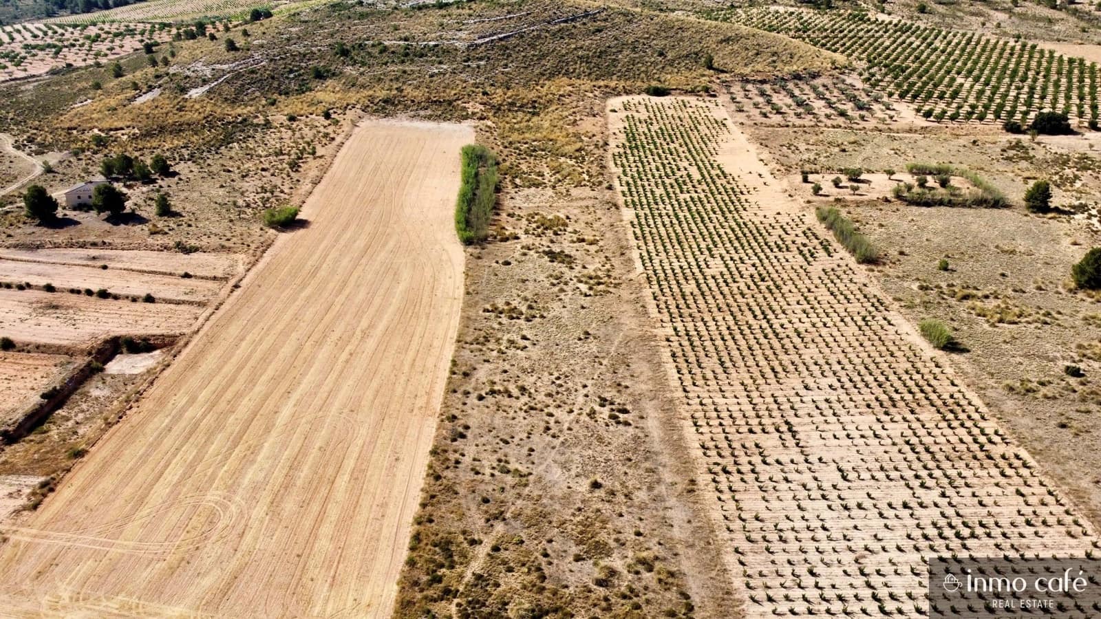 Grunde uden byggetilladelser til salg i Villena - € 39.000 (Ref: 9096293)