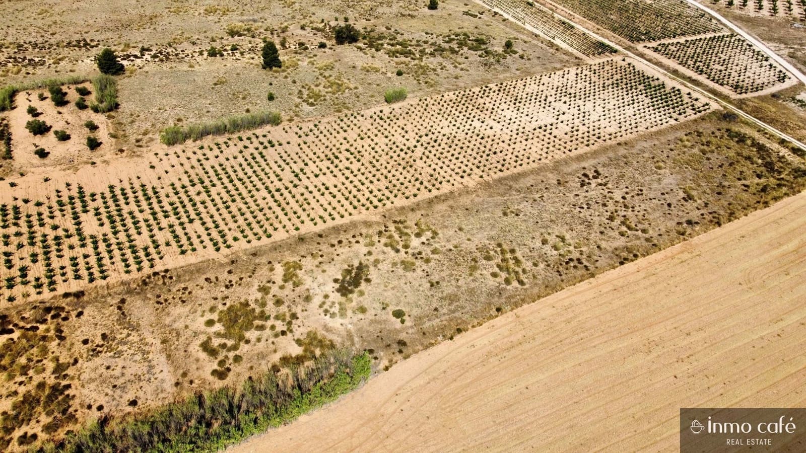 Grunde uden byggetilladelser til salg i Villena - € 39.000 (Ref: 9096293)