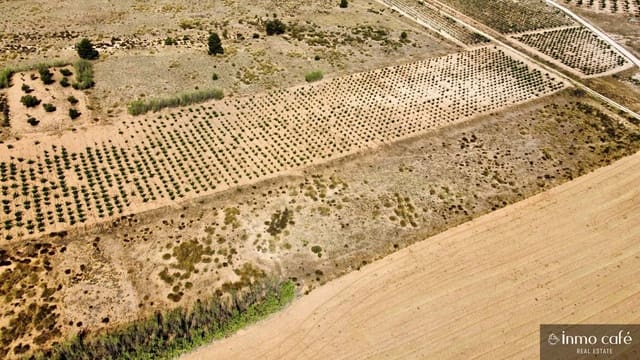 Mark till salu i Villena - 39 000 € (Ref: 9096293)