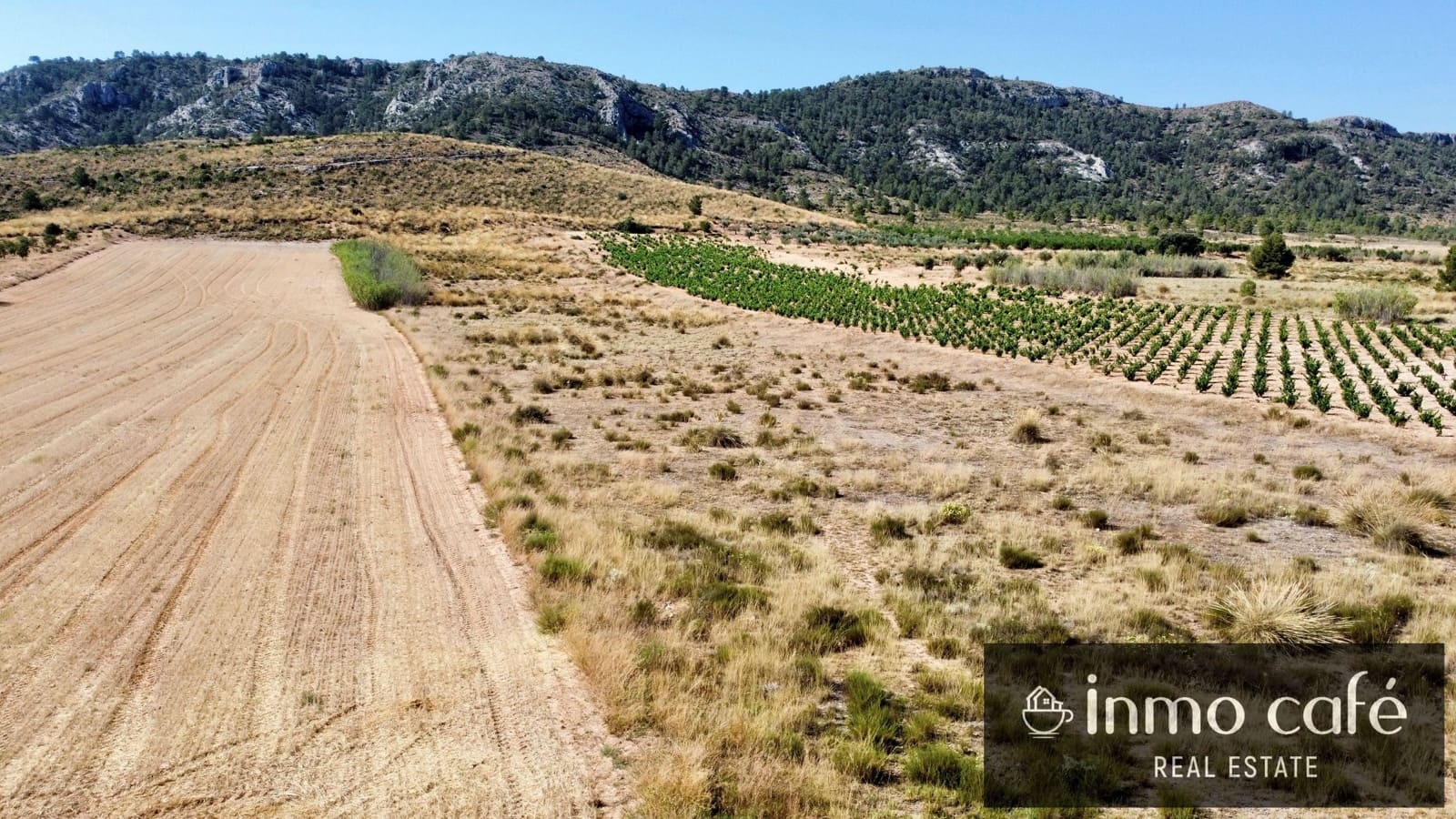 Teren niezagospodarowany na sprzedaż w Villena - 30 000 € (Ref: 9096293)