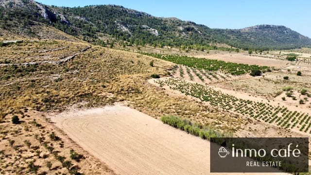 Teren niezagospodarowany na sprzedaż w Villena - 30 000 € (Ref: 9096293)