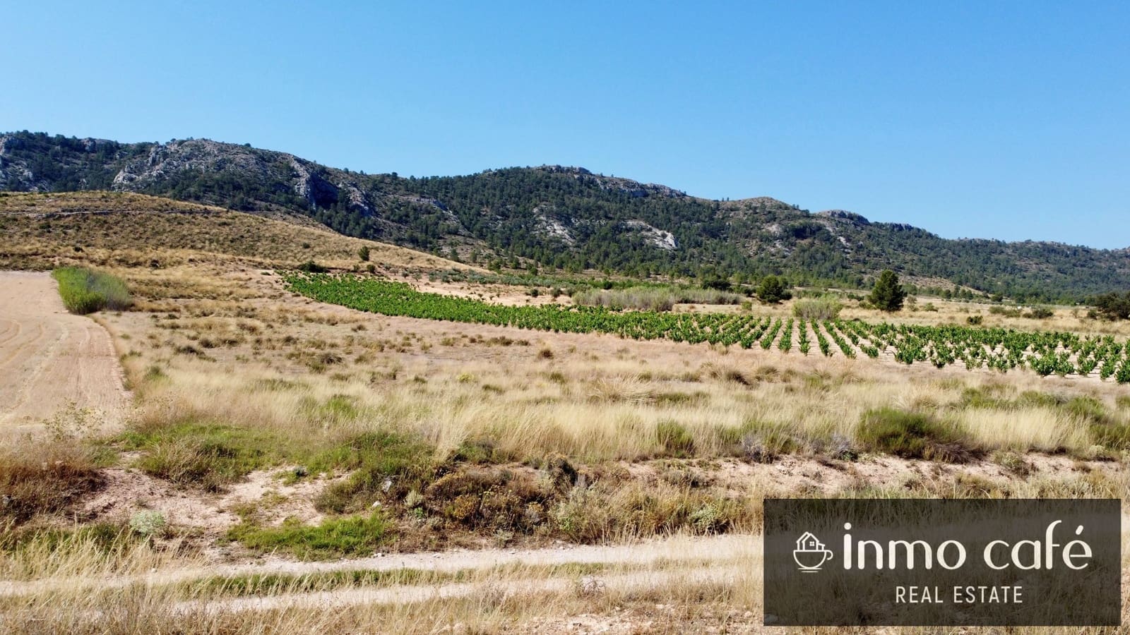 Teren niezagospodarowany na sprzedaż w Villena - 30 000 € (Ref: 9096293)