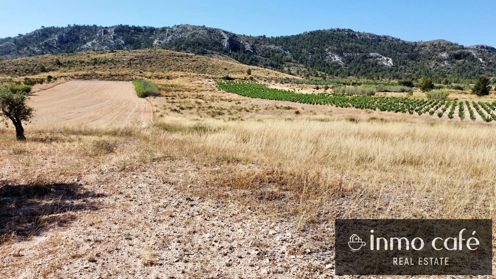 Teren niezagospodarowany na sprzedaż w Villena - 30 000 € (Ref: 9096293)