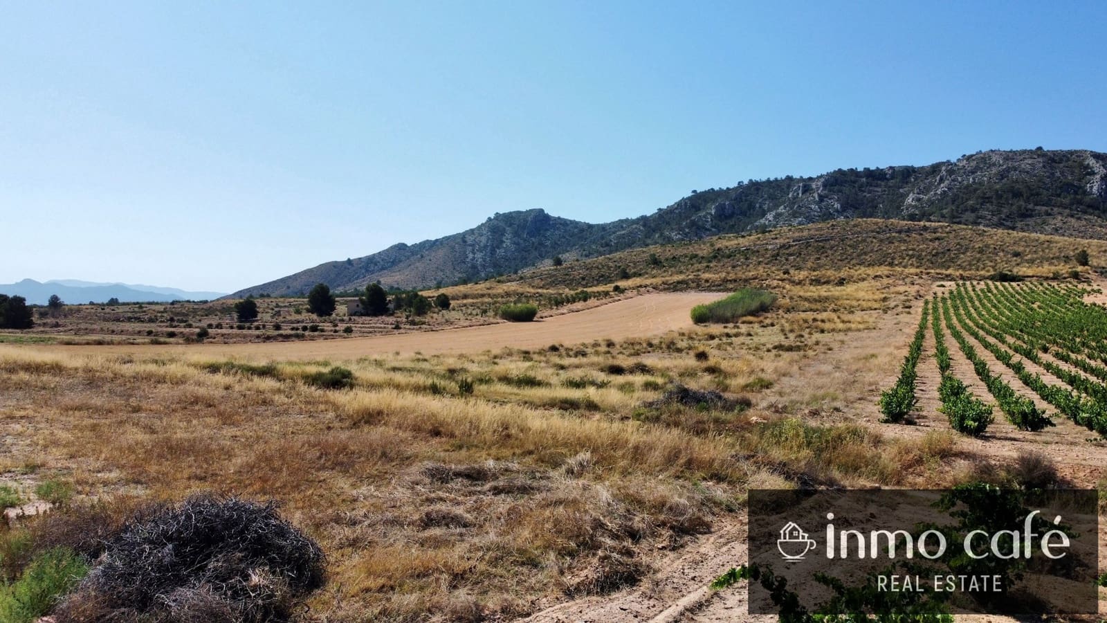 Teren niezagospodarowany na sprzedaż w Villena - 30 000 € (Ref: 9096293)