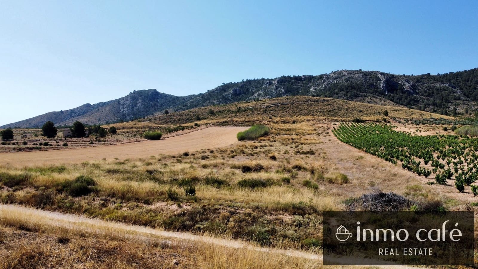 Teren niezagospodarowany na sprzedaż w Villena - 30 000 € (Ref: 9096293)