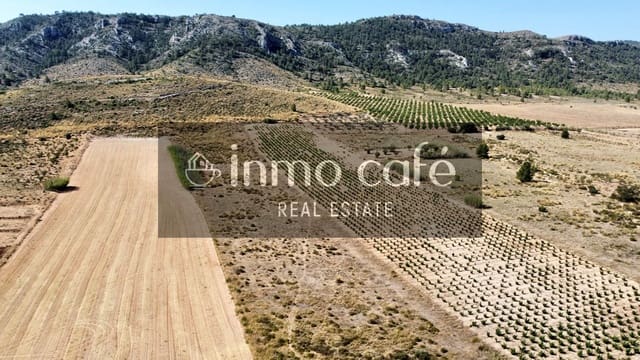 Mark till salu i Villena - 30 000 € (Ref: 9096293)