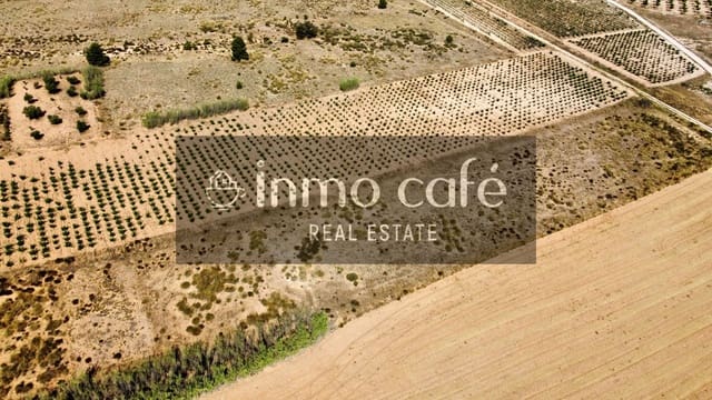 Mark till salu i Villena - 30 000 € (Ref: 9096293)