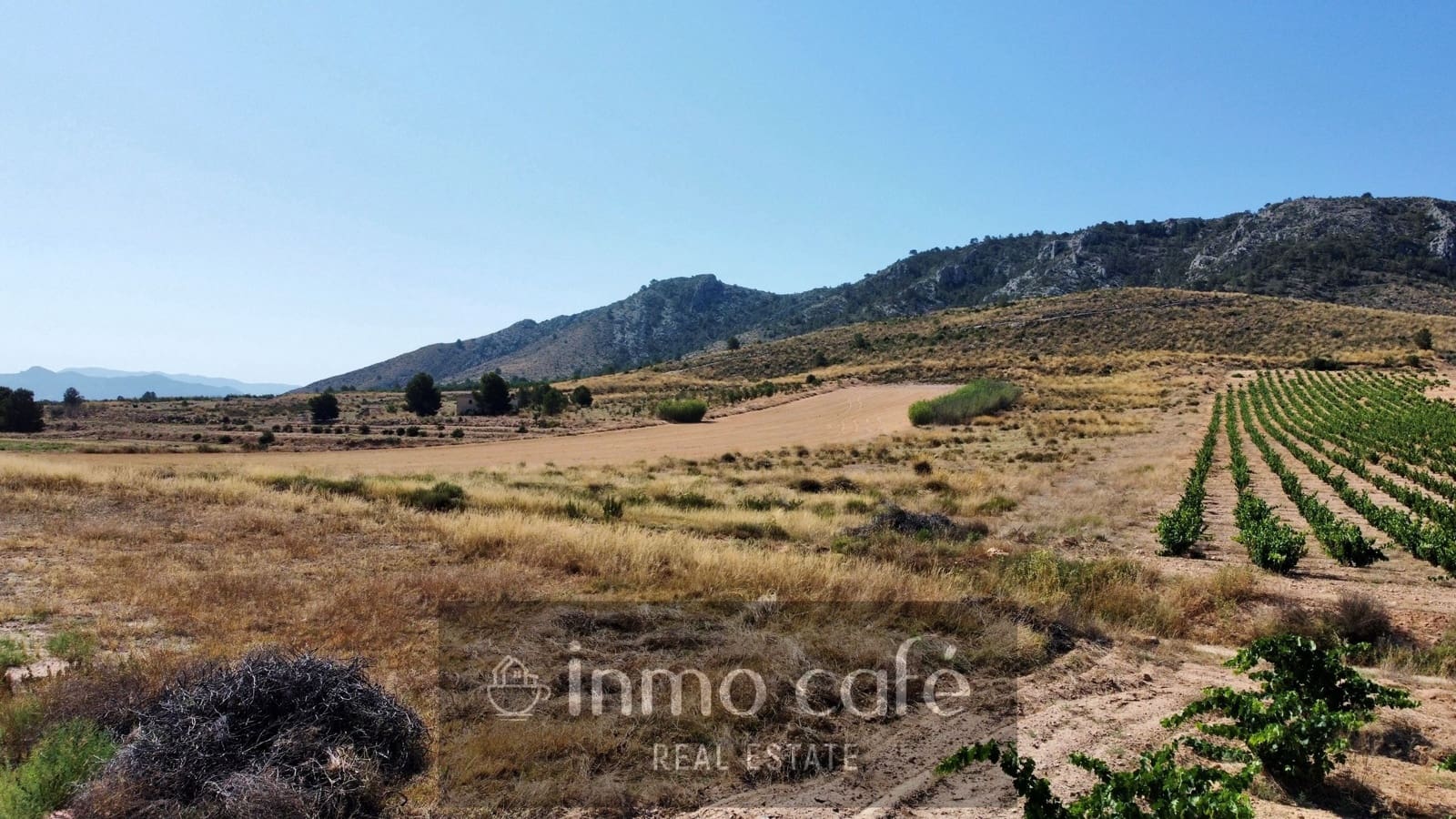 Undeveloped Land for sale in Villena - € 30,000 (Ref: 9096293)