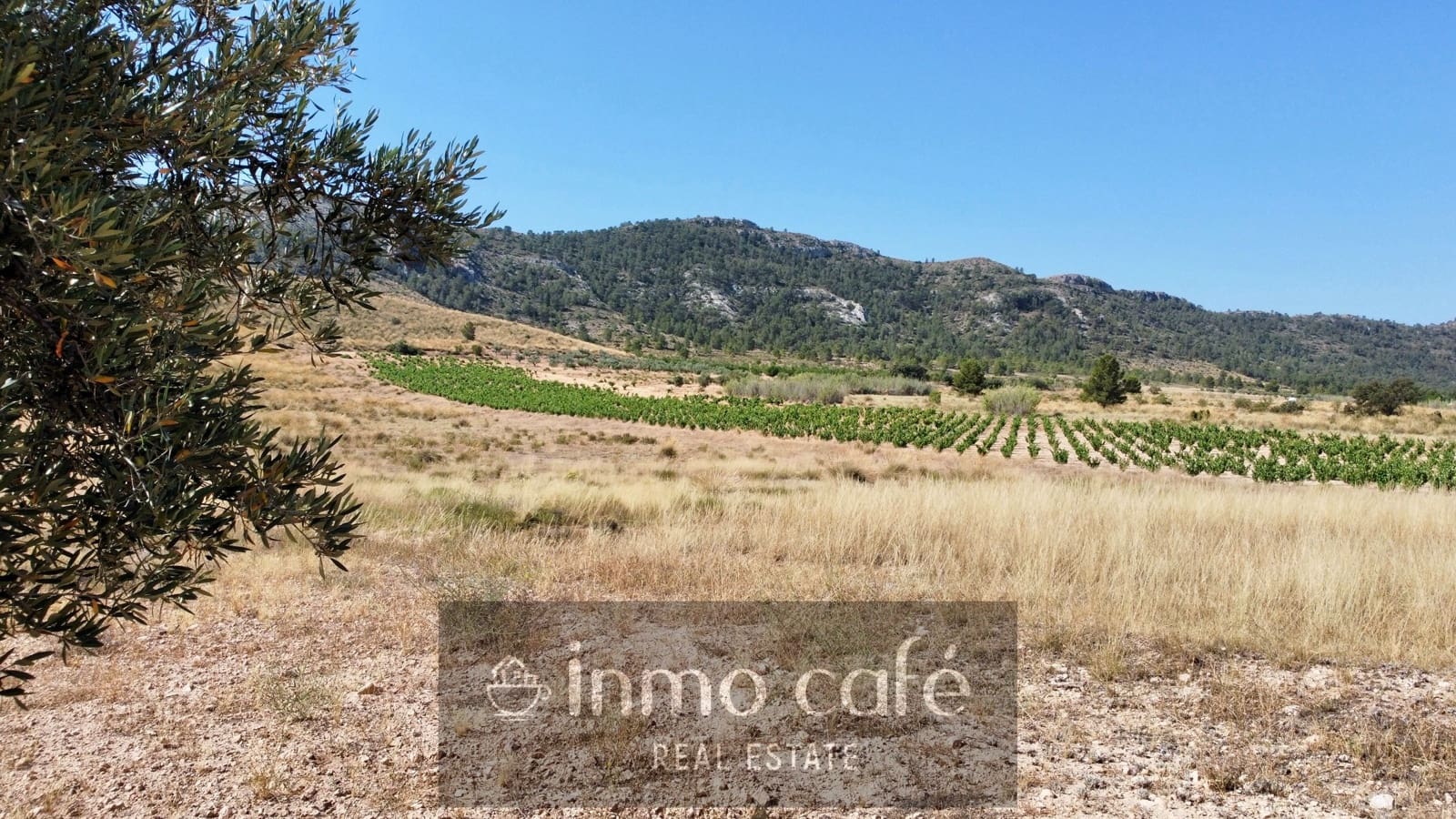 Undeveloped Land for sale in Villena - € 30,000 (Ref: 9096293)