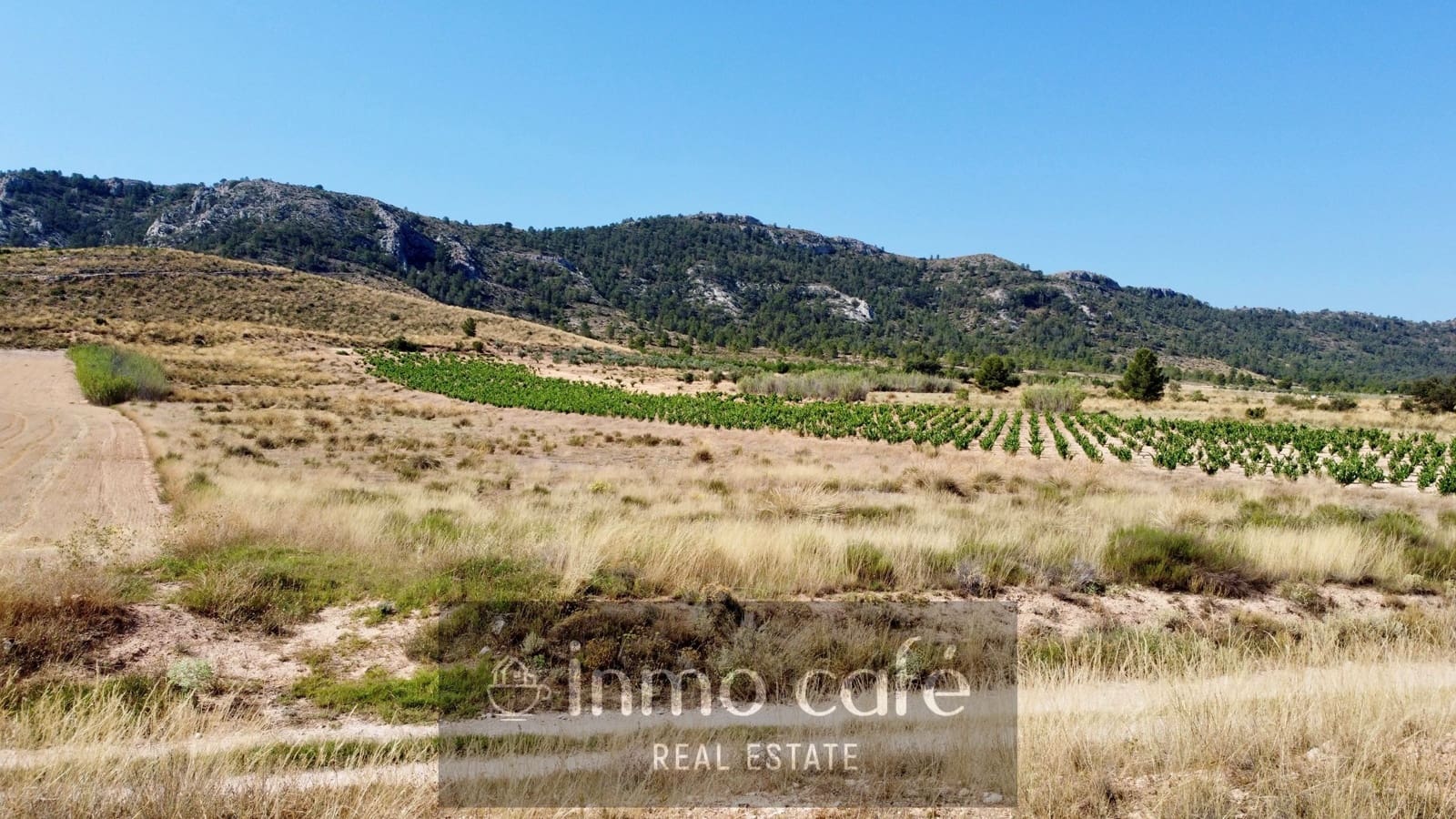 Undeveloped Land for sale in Villena - € 30,000 (Ref: 9096293)
