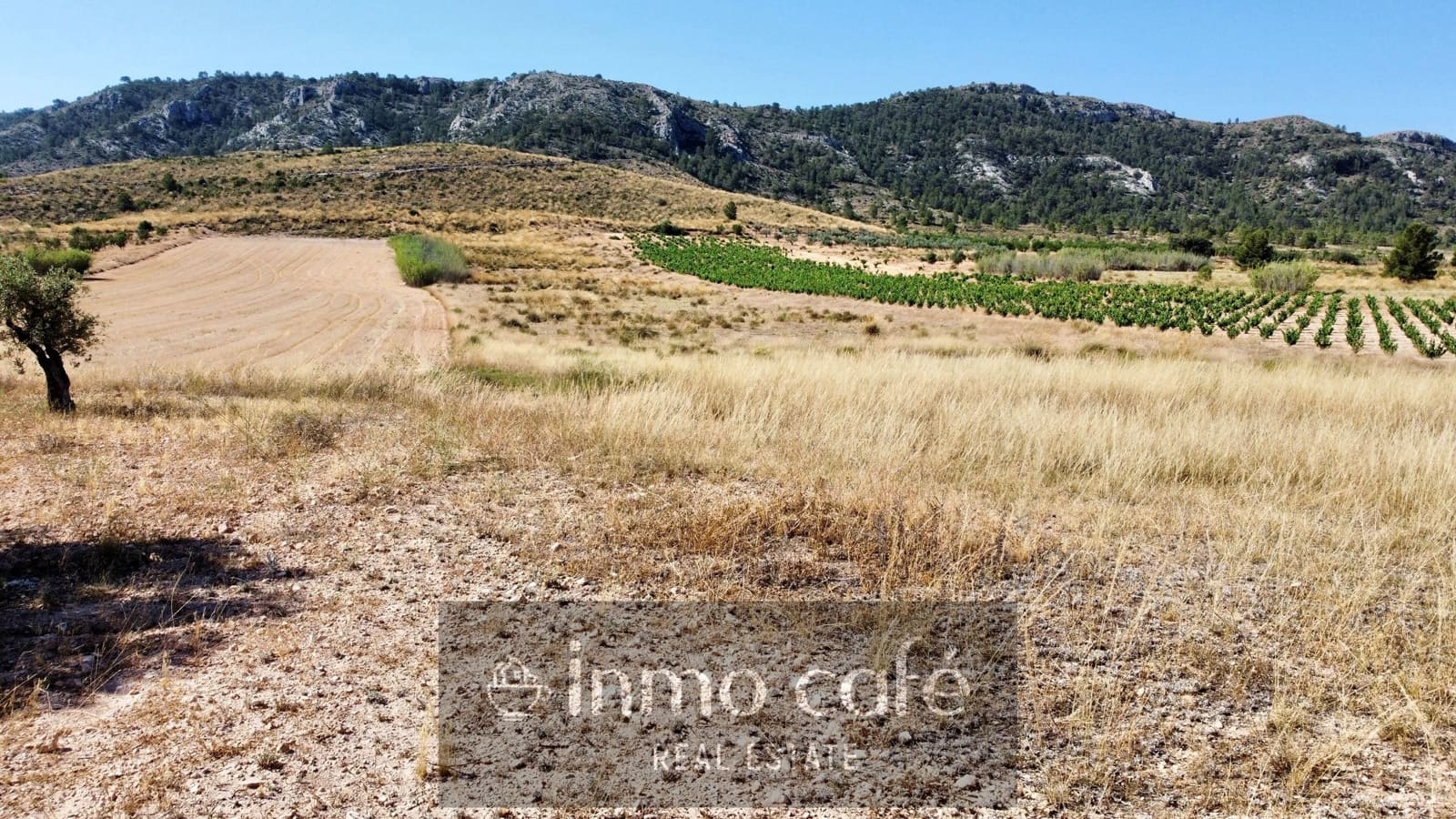 Undeveloped Land for sale in Villena - € 30,000 (Ref: 9096293)