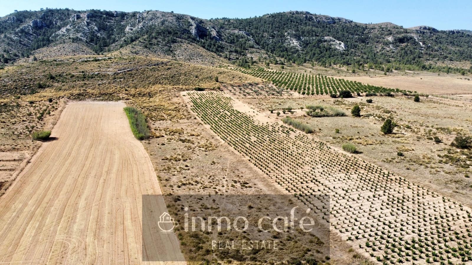 Undeveloped Land for sale in Villena - € 30,000 (Ref: 9096293)