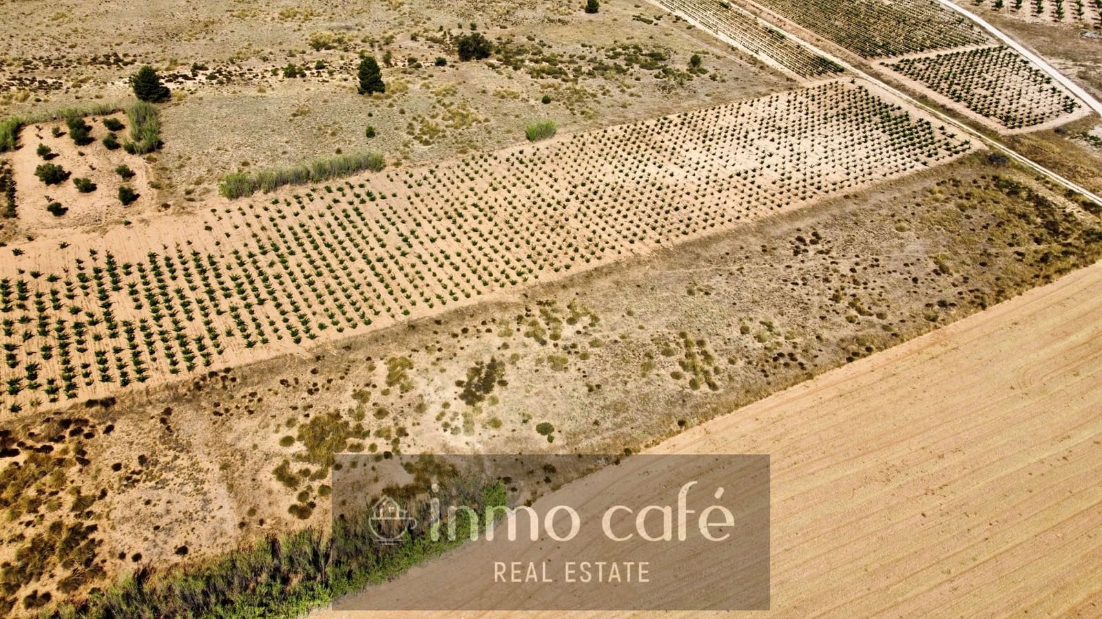Undeveloped Land for sale in Villena - € 30,000 (Ref: 9096293)