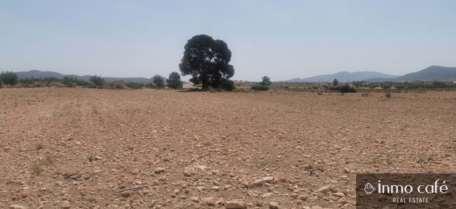 Terreno/Finca Rústica en Pinoso en venta - 55.000 € (Ref: 9107877)