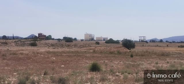 Terreno/Finca Rústica en Pinoso en venta - 55.000 € (Ref: 9107877)