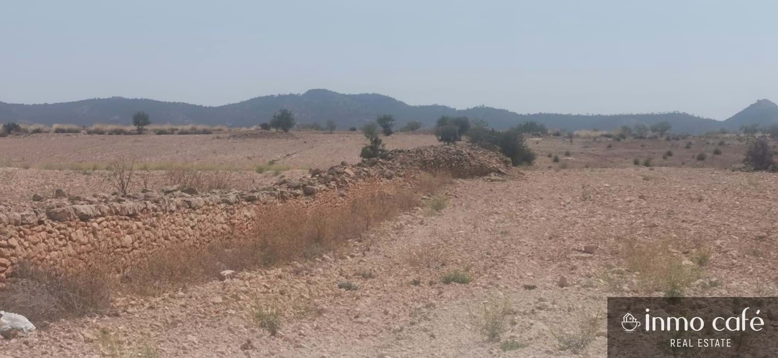 Terreno/Finca Rústica en Pinoso en venta - 55.000 € (Ref: 9107877)