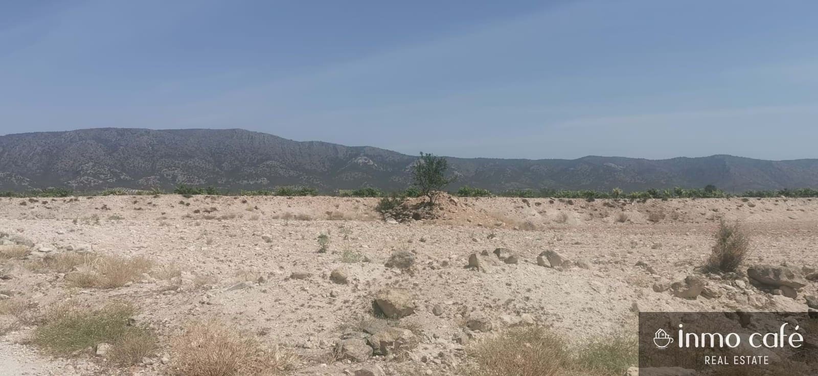 Terreno/Finca Rústica en Pinoso en venta - 55.000 € (Ref: 9107877)